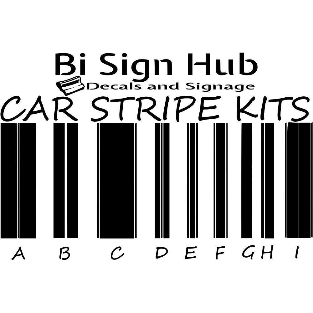 Vinyl Stripe Kits Style B - Bi Sign Hub