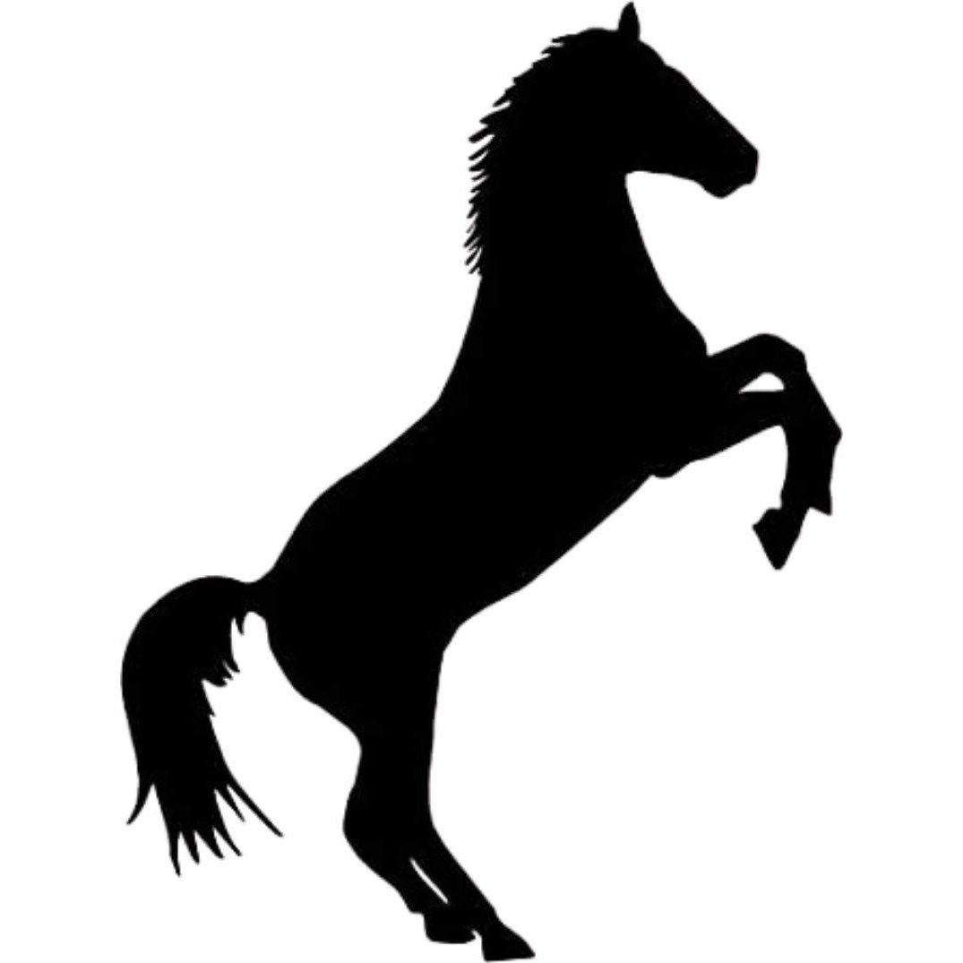 Horse Decal Car Sticker - Bi Sign Hub
