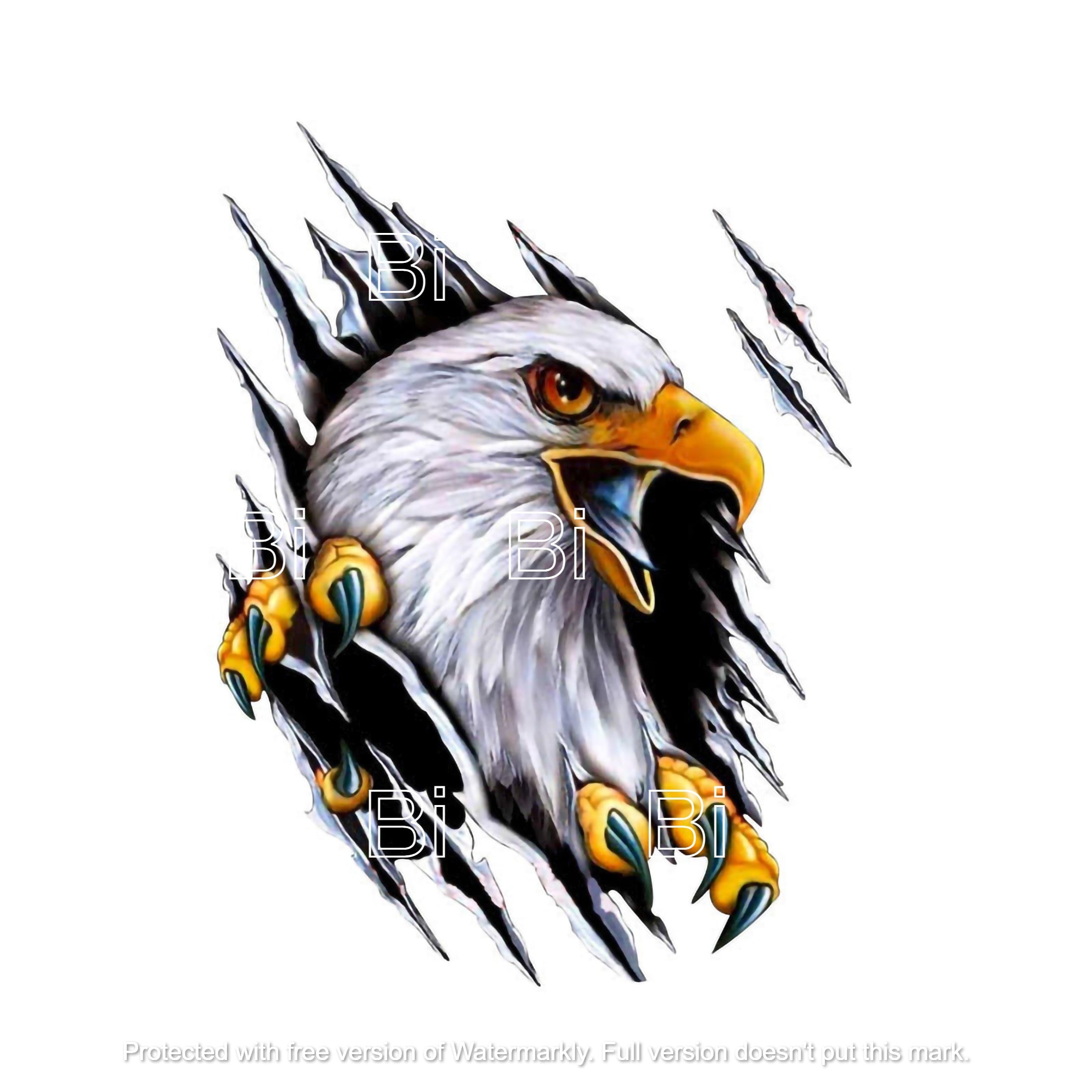 Eagle Car Decal Sticker – The Sticker Guy