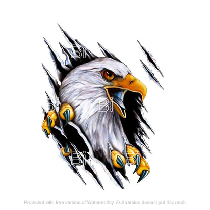 Eagle Car Decal Sticker - The Sticker Guy